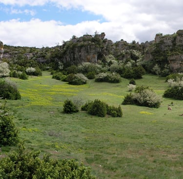 Causse de Larzac typical scenery