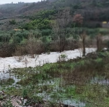 La Primelle in full spate