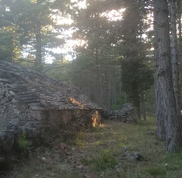 The Bergerie de Courcol.