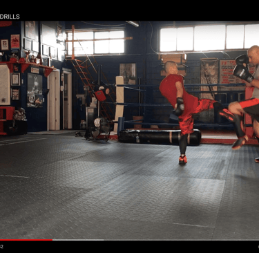Martial artists training in a gym.