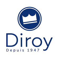 logo diroy