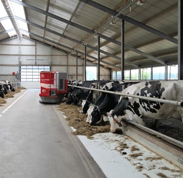 dairy farm nutrition and biosecurity