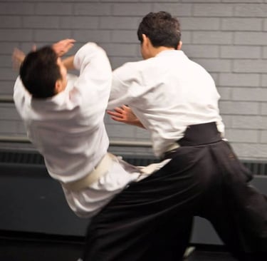 Ishikawa sensei performing aikido kokyu nage during calgary seminar