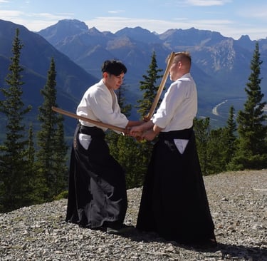 practicing Itto Ryu kenjutsu