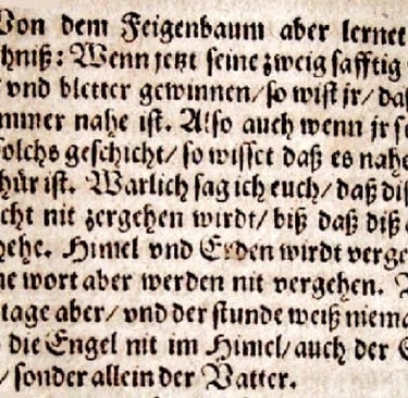 caroligien caroline ecriture