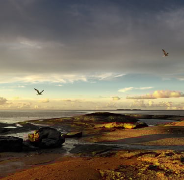 Paysage du littoral - Kourou