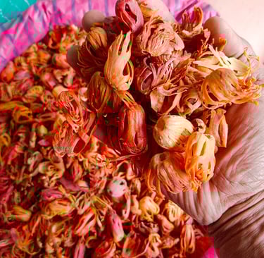 where to buy best spices in coorg