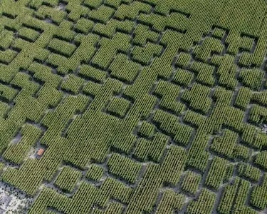 Ty Bayon - Les lieux à visiter - Culture et curiosités locales : Pop Corn Labyrinthe (Ploemel)