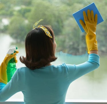 Window Cleaning