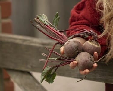 a girl showing three beets in her hands