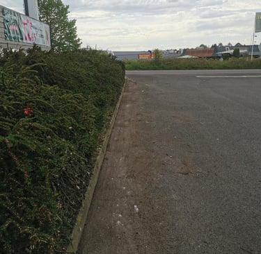 Espace vert d'entreprise