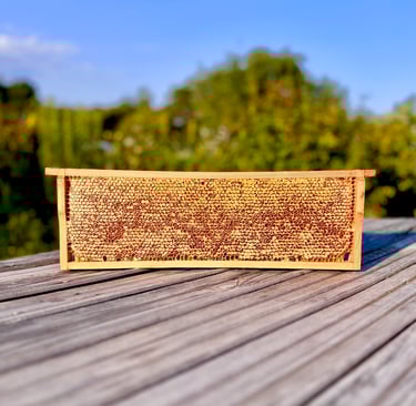 Žolynų medus koryje – poliflorinis, visiškai natūralus lietuviškas medus, surinktas iš laukinių pievų augalų, žiedų.