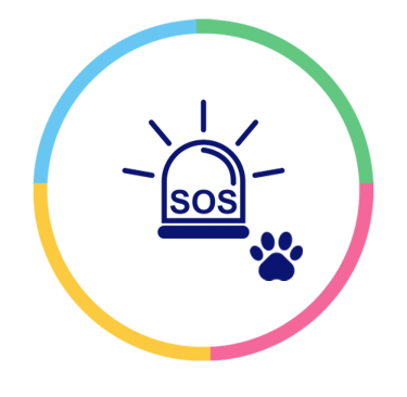 Emergencia Veterinária