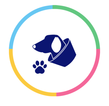 castração cachorro e gato