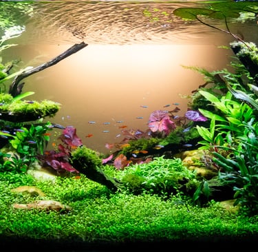 aquario plantado aquapaisagismo plantas