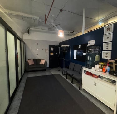 Well Adjusted chiropractic office interior in Brooklyn, NY