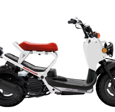 Honda Ruckus