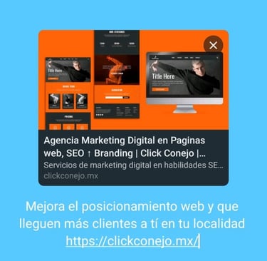 seo whatsapp