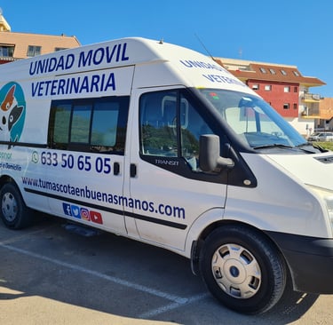 Unidad movil de Veterinaria a domicilio en Molina de Segura tumascotaenbuenasmanos