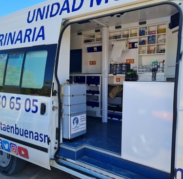Unidad veterinaria a domicilio en Molina de Segura