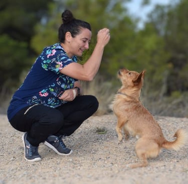 Veterinario a domicilio en Murcia, Cartagena, Mar Menor, Ect