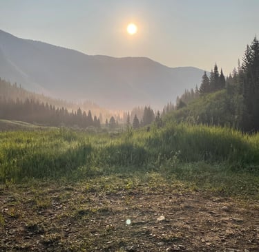 a horse is standing in a field with a sun setting