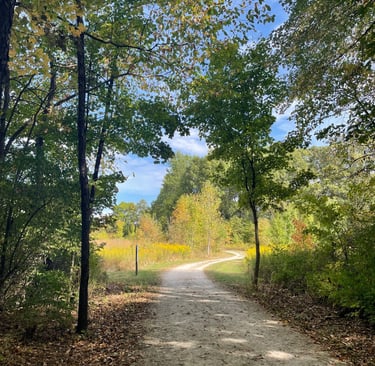 a dirt road with a dirt road and trees