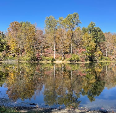 a lake with trees and a blue sky