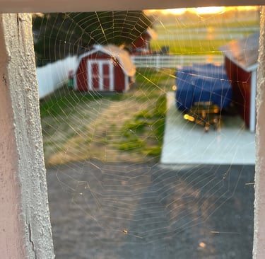 a spider web web webpage with a spider web webpage