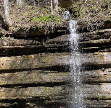 a waterfall in the woods with a waterfall in the background