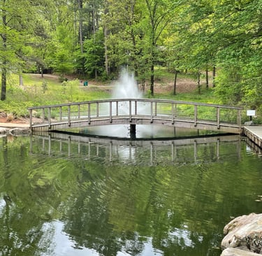 a pond with a fountain in the middle of it