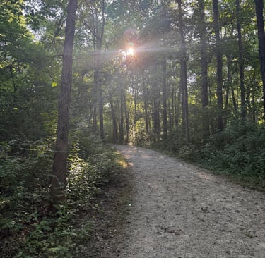 a dirt road with a dirt road and trees