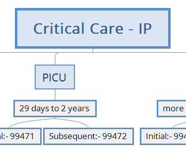 Critical Care IP