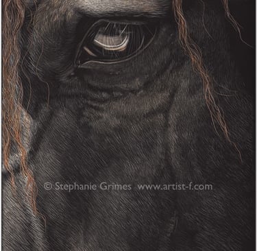 Detailed close-up of a dark horse's eye and face, showcasing its textured coat and expressive features, a stunning equine