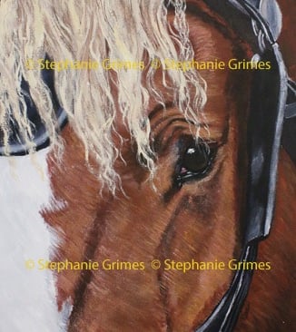 Detailed close-up Acrylic painting of a Belgian horse bridle, showcasing realistic texture.
