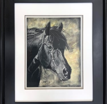 Detailed portrait of a black horse in scratchboard, in a black frame.