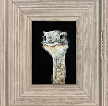 A detailed rhea portrait painting on black scratchboard inside a rustic grey wooden frame.