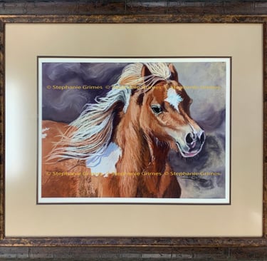 Framed Pastel Painting of a miniature horse by Stephanie Grimes featuring a dark stormy background.