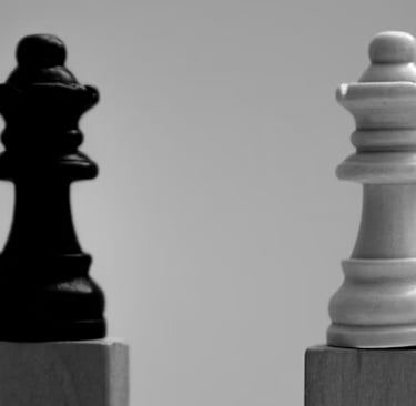 Black vs White Chess Piece