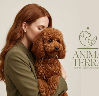 Projet Anima Terra – Identité visuelle et support de communication, Studio Luana