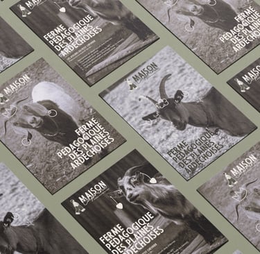 Projet Fictif - Maison Caprine - Studio Luana - Brand Designer - Graphiste