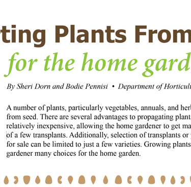 uga starting plants from seed 