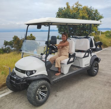 6-seater elecric golfcart for rent at Villa Bor a Mar