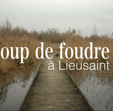 Coup de foudre à Lieusaint - Short film