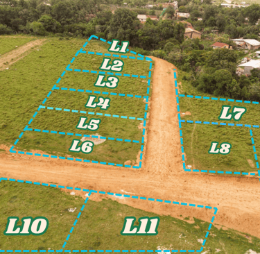 division de lotes en Alcala , la Esperanza Intibuca