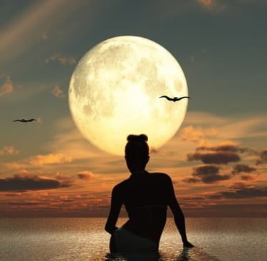 full moon view, woman, sea, birds