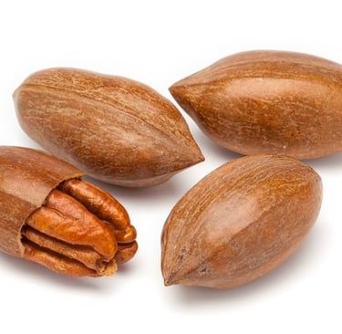 Pecans as a Nutritional Gem