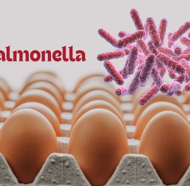 a group of eggshells in a carton. Salmonella