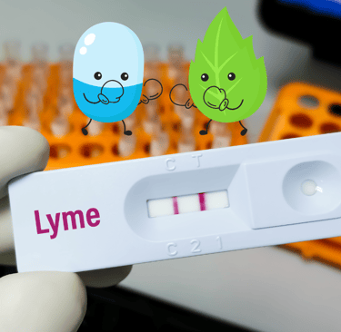 Lyme Disease: Causes, Symptoms & Effective Management. Vegan Diet