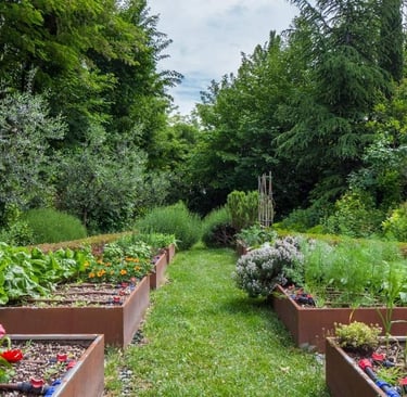 Vegetable Garden